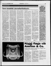 Síða 23