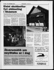 Síða 3
