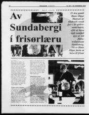 Síða 12