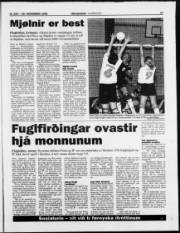 Síða 17