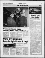 Síða 17