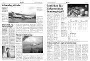 Síða 9