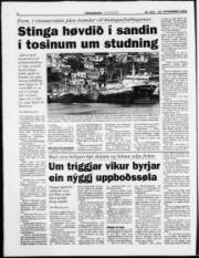 Síða 6