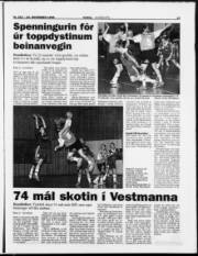 Síða 15