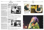 Síða 13