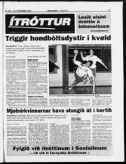 Síða 17