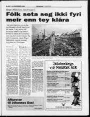 Síða 3