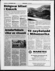 Síða 3