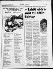 Síða 19