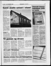 Síða 17
