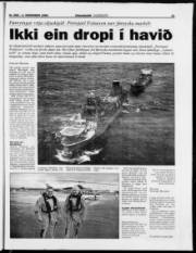 Síða 21
