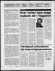 Síða 2