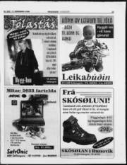 Síða 19