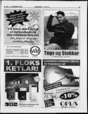 Síða 21