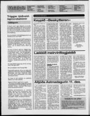 Síða 2