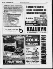 Síða 17