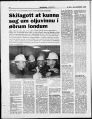 Síða 22