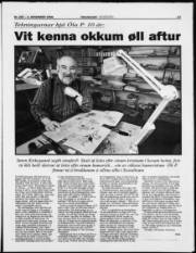 Síða 13