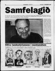 Síða 17