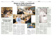 Síða 11