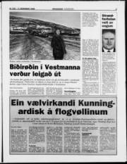 Síða 5