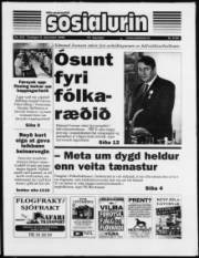 Síða 1