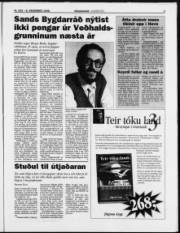 Síða 3
