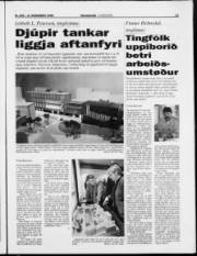Síða 11