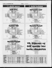 Síða 17