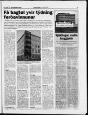 Síða 19