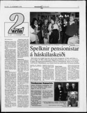 Síða 11