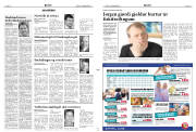 Síða 11