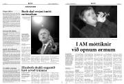 Síða 12