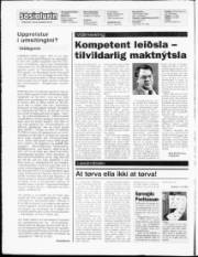 Síða 2