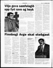 Síða 6