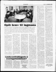 Síða 8