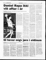 Síða 13