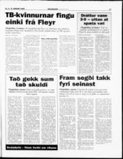 Síða 17
