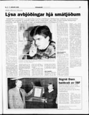 Síða 17