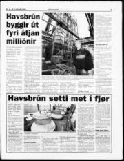 Síða 9