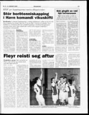 Síða 22