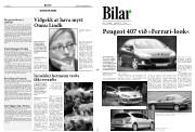 Síða 11