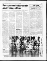 Síða 17