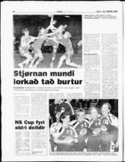 Síða 20