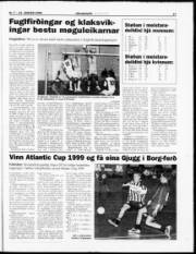 Síða 17