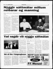 Síða 5