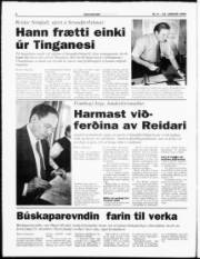 Síða 6