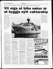 Síða 3
