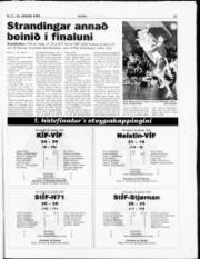 Síða 23