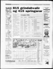 Síða 32